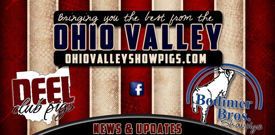 Ohio Valley Show Pigs - Bringing you the best from the Ohio Valley!